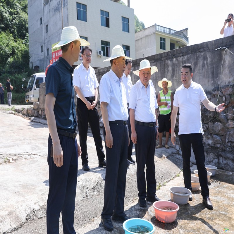 副省長董家祿率隊(duì)來松調(diào)研