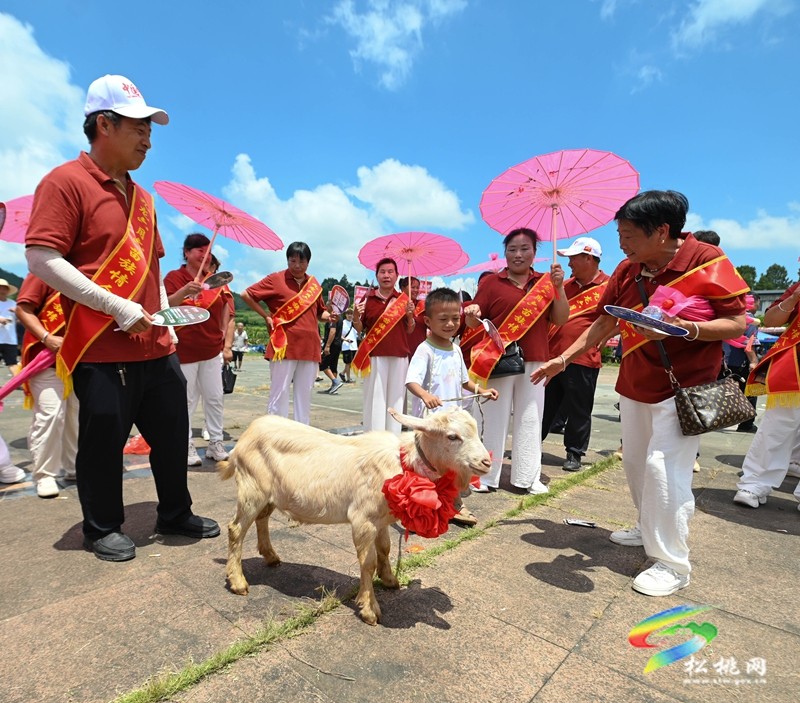 松桃：多彩活動(dòng)歡慶“六月六”