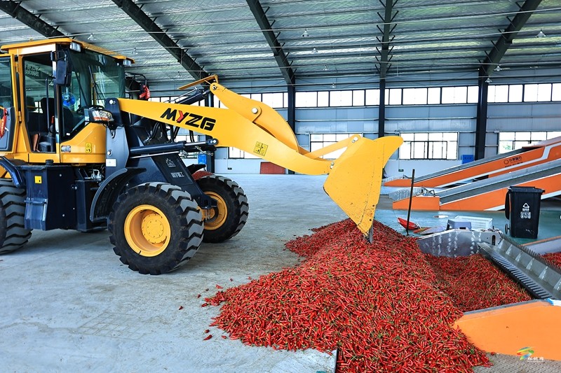 松桃：錘煉好作風(fēng)?“辣”出產(chǎn)業(yè)路
