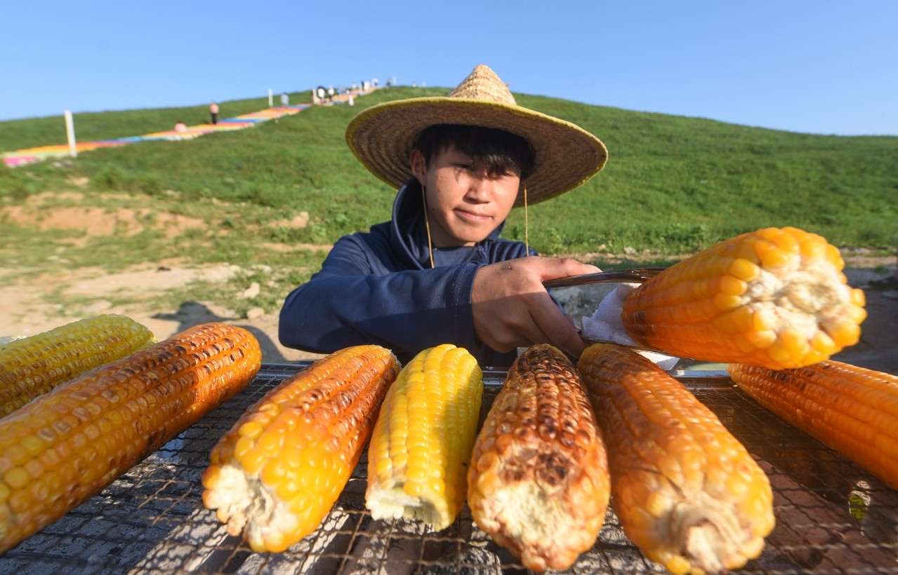 松桃：大學(xué)生暑期賣烤玉米?自籌學(xué)費推廣家鄉(xiāng)味