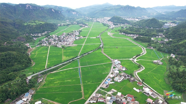 烏羅鎮(zhèn)：田疇沃野展新姿? 萬畝機械新“稻”路