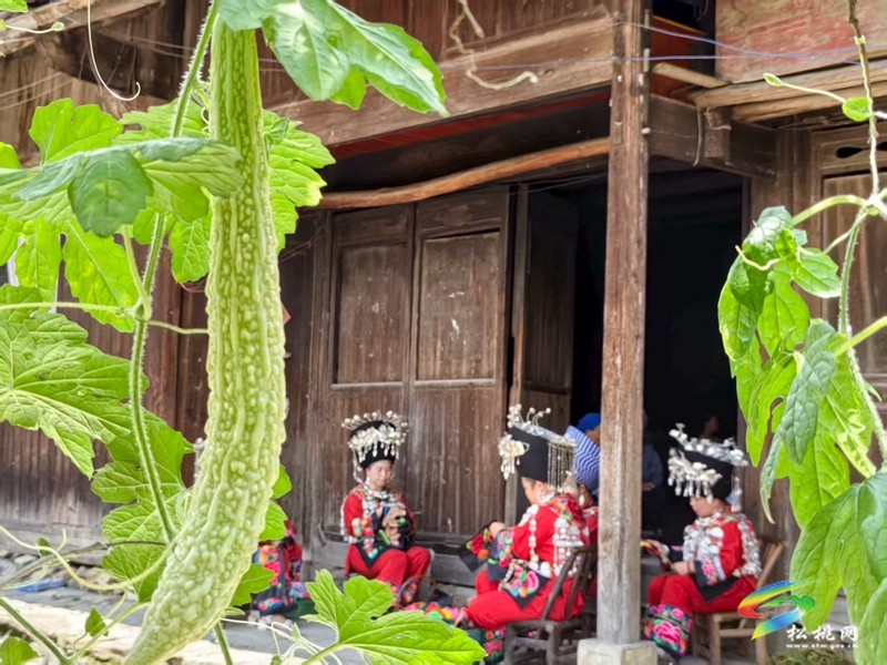盤(pán)石鎮(zhèn)禾梨坪村:年輕繡娘閑時(shí)相聚,讓千年技藝煥新彩
