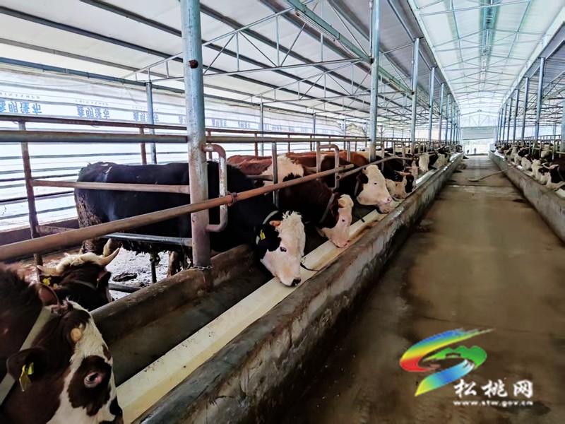 妙隘鄉(xiāng)富民行動(dòng)，鋪就產(chǎn)業(yè)振興之路