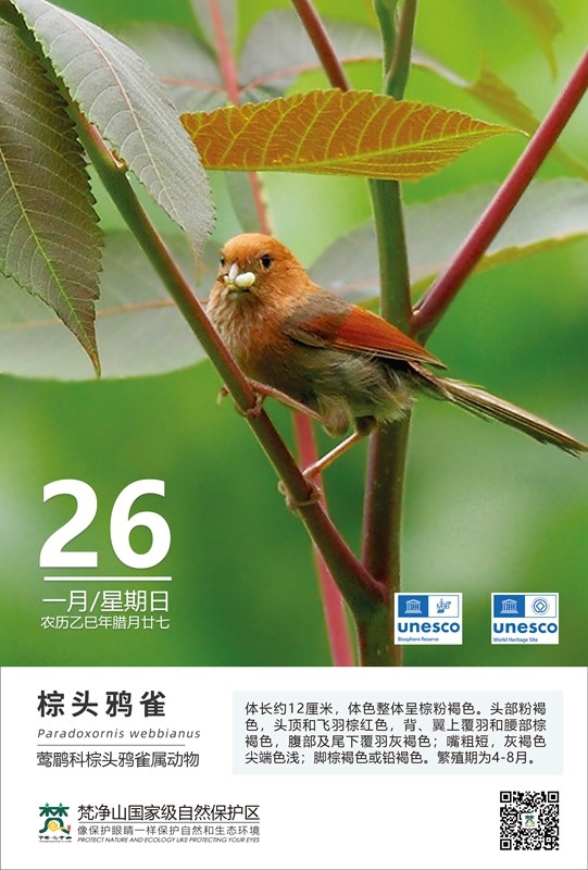 保護野生鳥類（第1期）