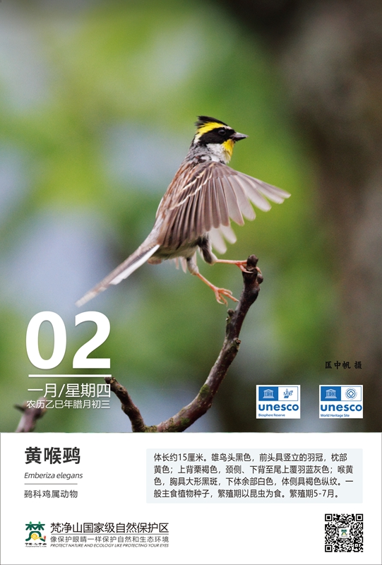 保護野生鳥類（第1期）