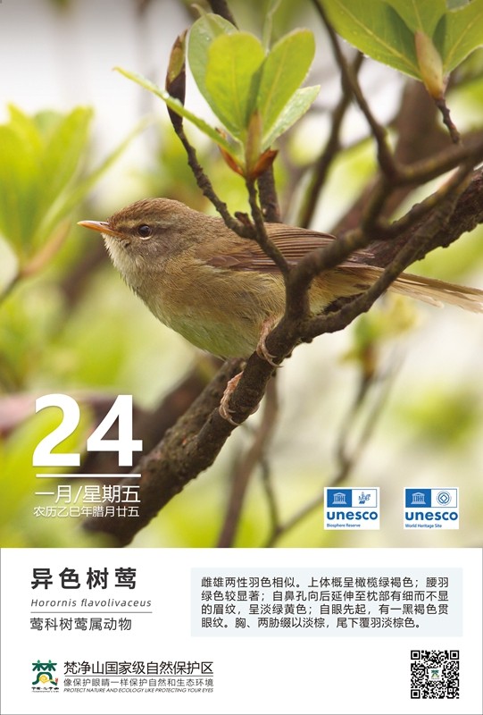 保護野生鳥類（第1期）