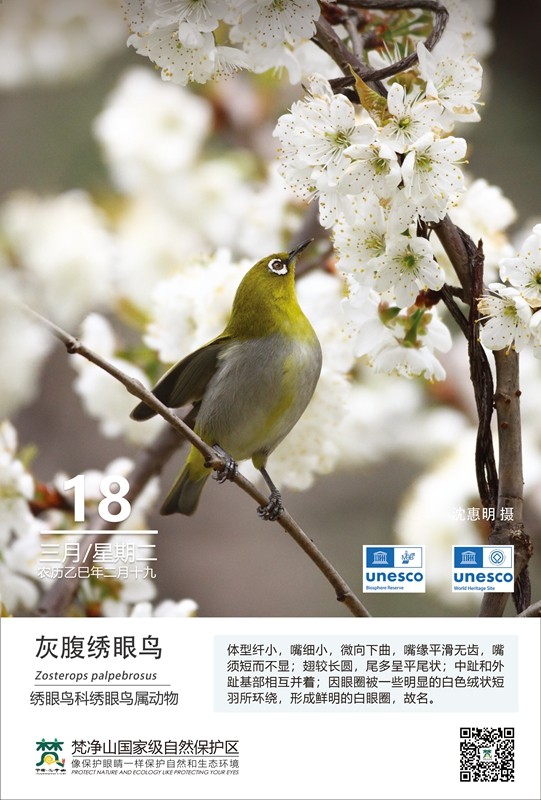 保護(hù)野生鳥類（第2期）