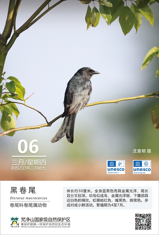 保護(hù)野生鳥類（第2期）