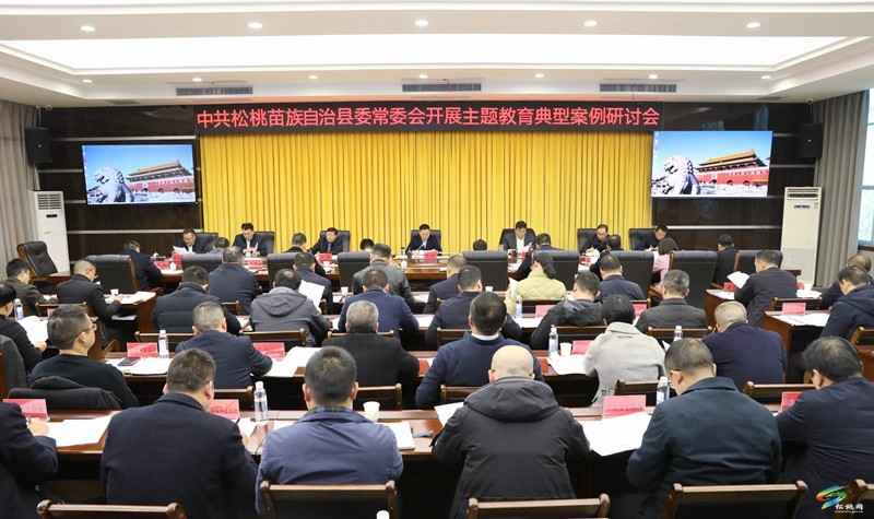 縣委常委會(huì)開(kāi)展主題教育典型案例研討會(huì)