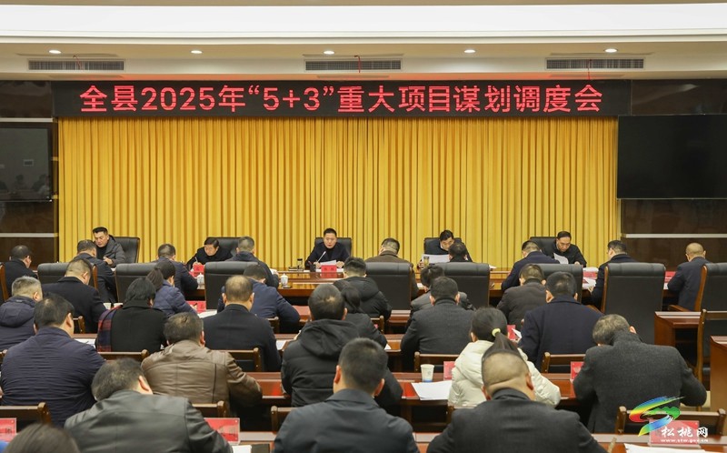 陳琪主持召開全縣2025年“5+3”重大項目謀劃調(diào)度會