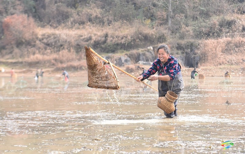 【網(wǎng)絡(luò)中國節(jié)·春節(jié)】松桃：傳統(tǒng)捕魚活動歡慶新春佳節(jié)