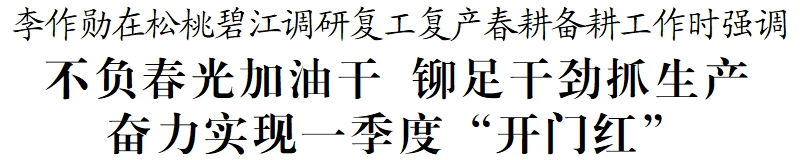 李作勛在松桃碧江調(diào)研復(fù)工復(fù)產(chǎn)春耕備耕工作