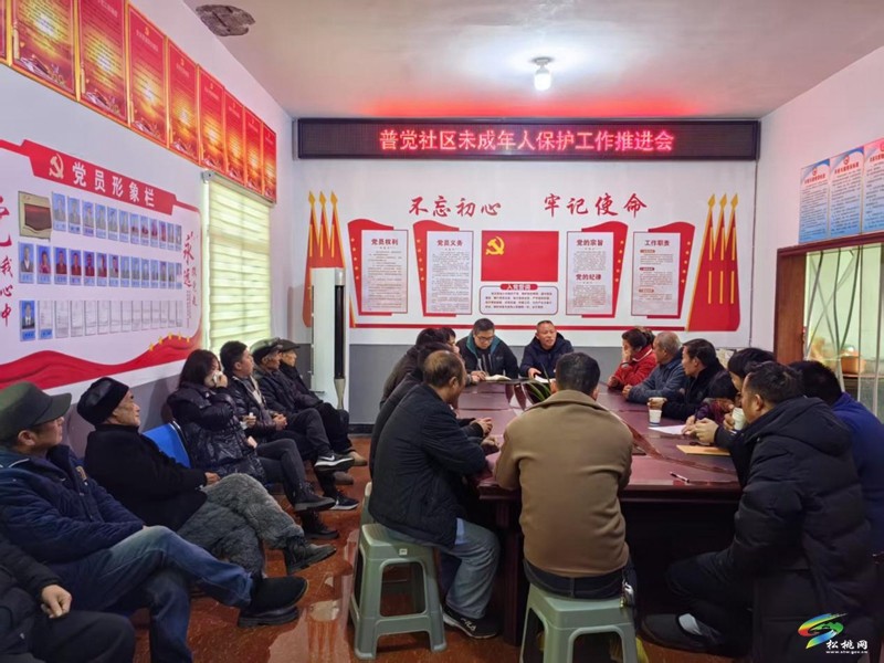 【未成年人保護】普覺鎮(zhèn)普覺社區(qū)召開未成年人保護工作推進會