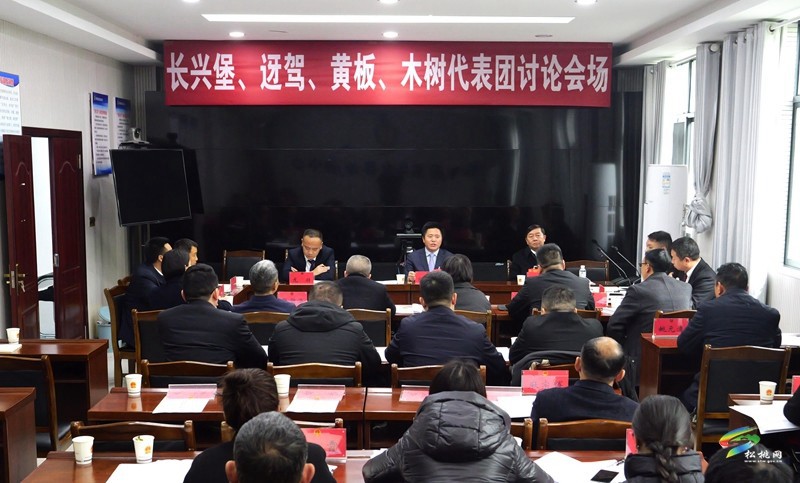 陳琪參加長(zhǎng)興堡、迓駕、黃板、木樹代表團(tuán)審議