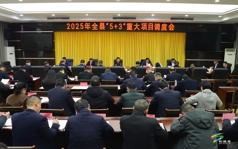 陳琪主持召開2025年全縣“5+3”重大項(xiàng)目調(diào)度會(huì)