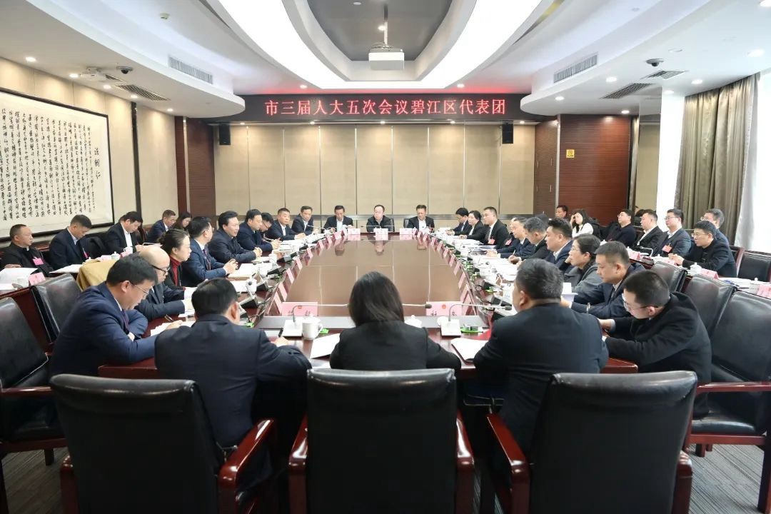 穆嶸坤參加碧江區(qū)、松桃自治縣代表團(tuán)審議