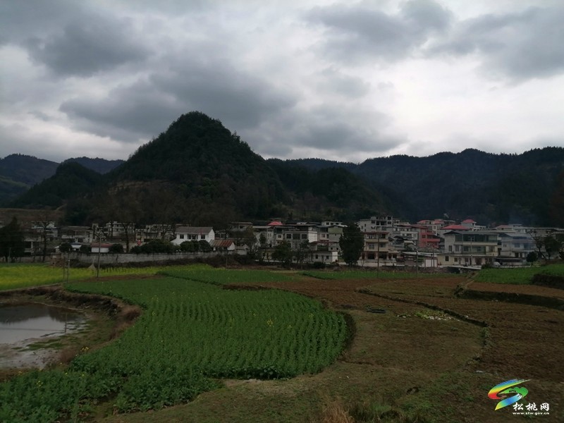 普覺鎮(zhèn)水銀村積極探索衛(wèi)生管理新模式