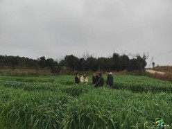 科技特派員組團下沉一線  早春賦能生態(tài)畜牧業(yè)——需求精準對接  田間示范加速良種技術落地