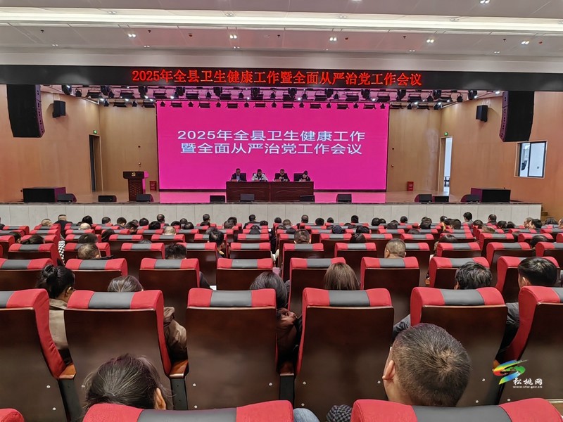 2025年全縣衛(wèi)生健康工作暨全面從嚴(yán)治黨工作會議召開