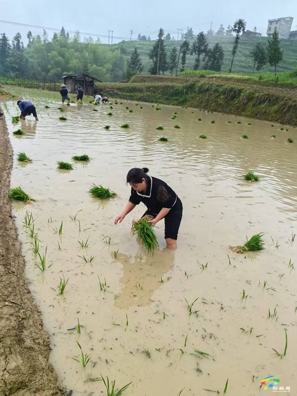 松桃金龍村：心系群眾冷暖  情牽百姓民生