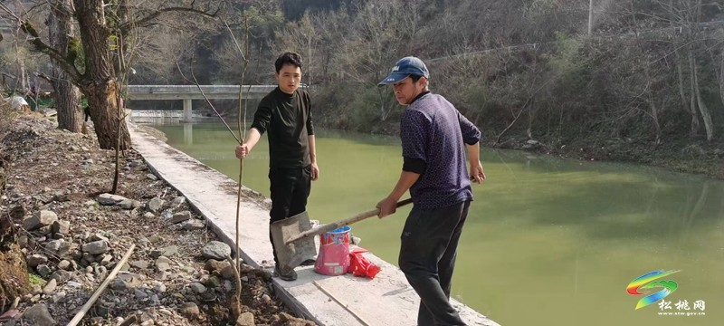 沙壩河鄉(xiāng)王普村開展義務(wù)植樹活動