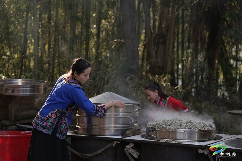 木樹鎮(zhèn)：春來社飯香
