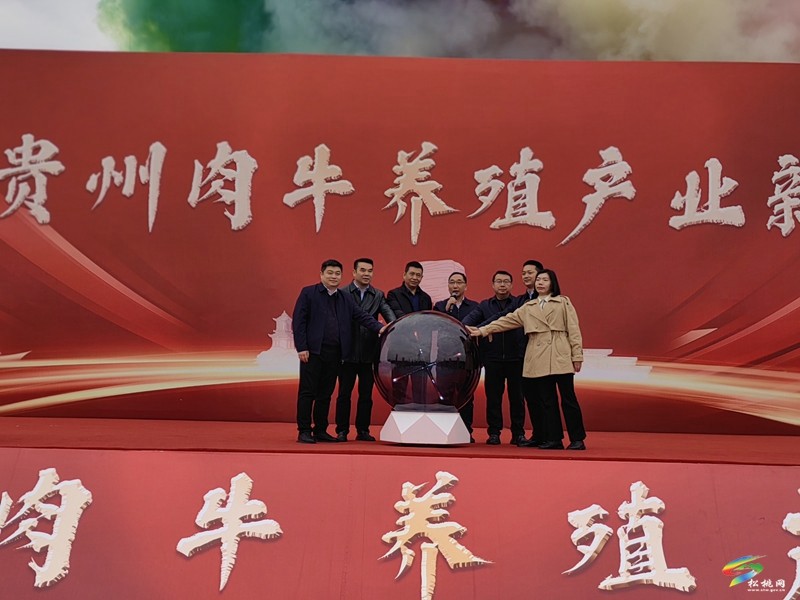 松桃大路后硐村肉牛養(yǎng)殖示范基地建設(shè)項(xiàng)目開工