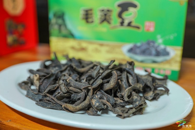 普覺鎮(zhèn)村播孵化基地啟幕：數(shù)字賦能鄉(xiāng)土經(jīng)濟(jì) 打造鄉(xiāng)村振興新引擎