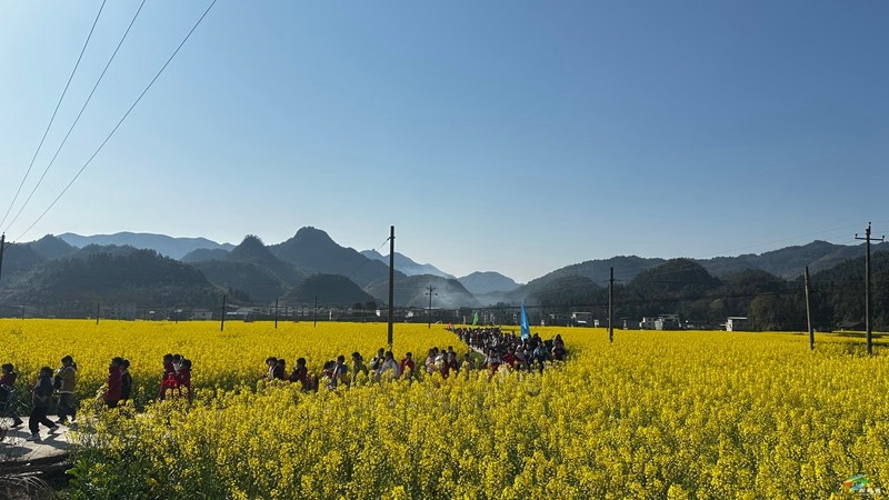 寨英鎮(zhèn)完小開展校外研學(xué)社會(huì)實(shí)踐活動(dòng)