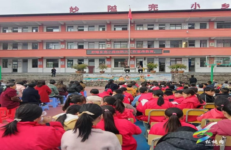 妙隘鄉(xiāng)：緊盯關(guān)鍵節(jié)點 扛牢責(zé)任擔(dān)當(dāng) 落實工作舉措 織密扎牢森林防火安全網(wǎng)