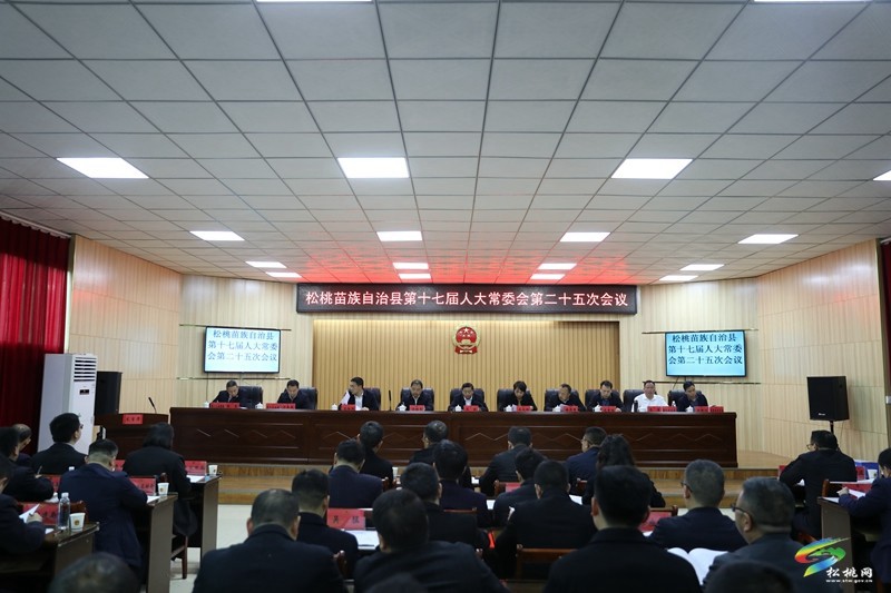 縣第十七屆人大常委會第二十五次會議召開