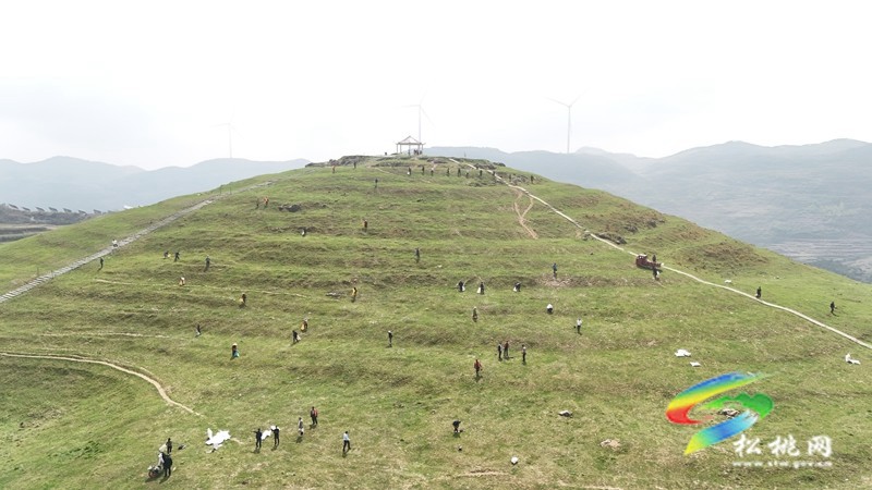 盤(pán)石鎮(zhèn):黔東草海管護(hù)行動(dòng)開(kāi)啟,生態(tài)與富民雙贏可期