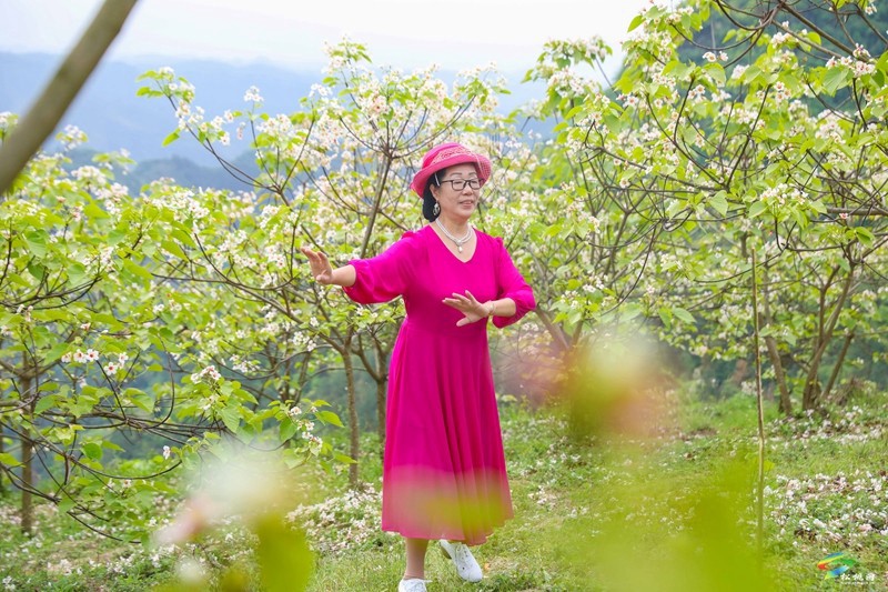 牛郎鎮(zhèn)：油桐產業(yè)繪就富民新畫卷