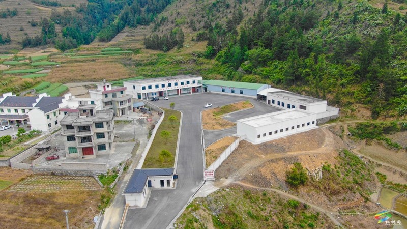 牛郎鎮(zhèn)：油桐產業(yè)繪就富民新畫卷