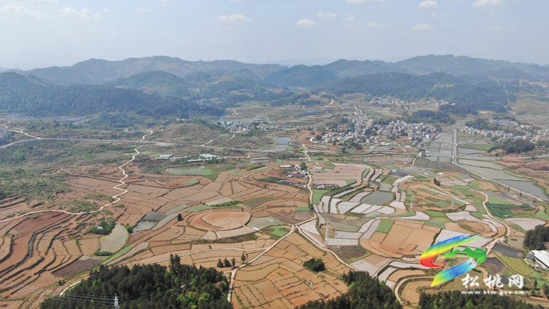 松桃:春耕正當(dāng)時(shí) 特色產(chǎn)業(yè)種植忙