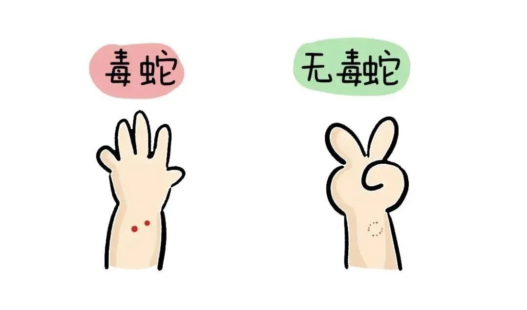 松桃一男子穿拖鞋上山種辣椒被TA咬！有劇毒！