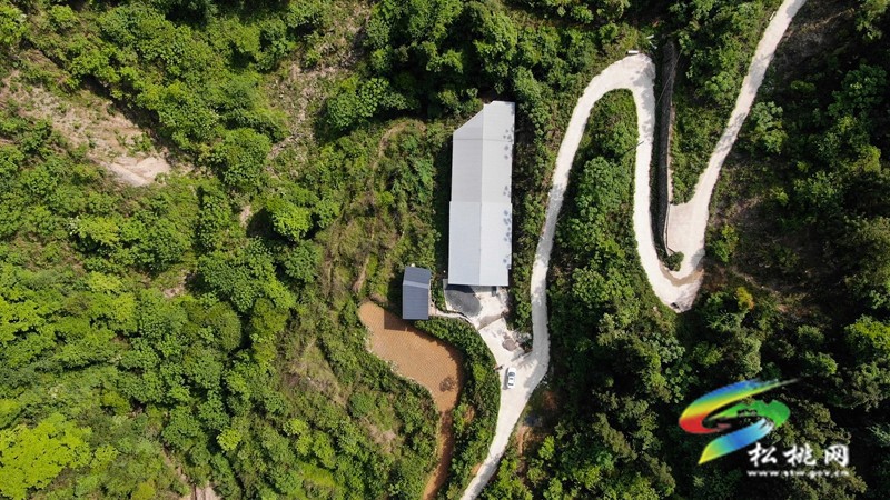 太平營街道：牛羊養(yǎng)殖繪就鄉(xiāng)村振興新畫卷