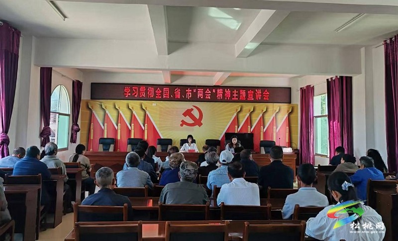市委講師團(tuán)來松桃宣講全國、省、市兩會(huì)精神