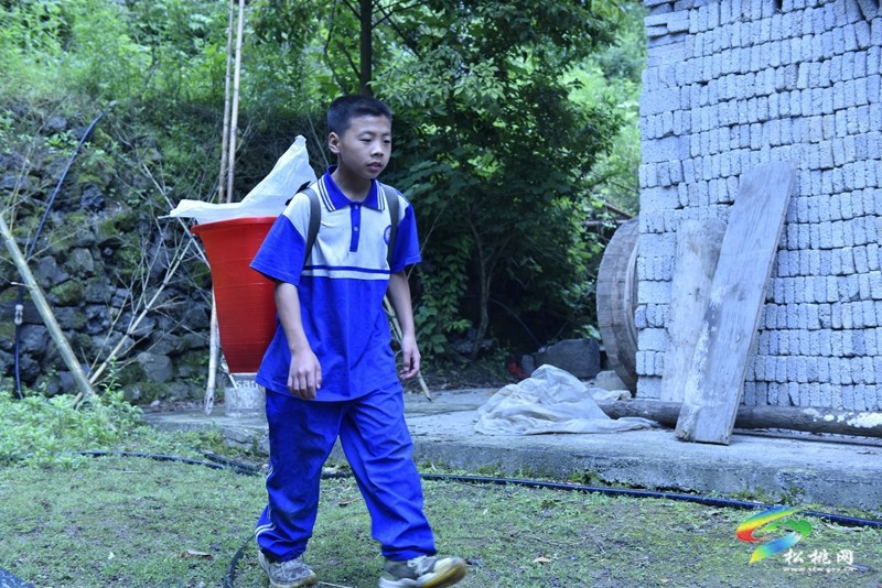 松桃永安鄉(xiāng)：13歲中學(xué)生爬垃圾桶為老人撿瓶，詮釋善良真諦