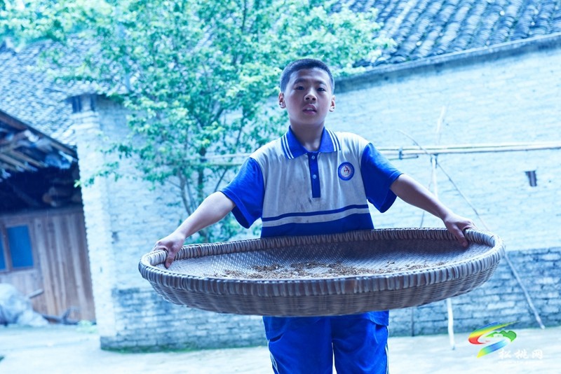 松桃永安鄉(xiāng)：13歲中學(xué)生爬垃圾桶為老人撿瓶，詮釋善良真諦