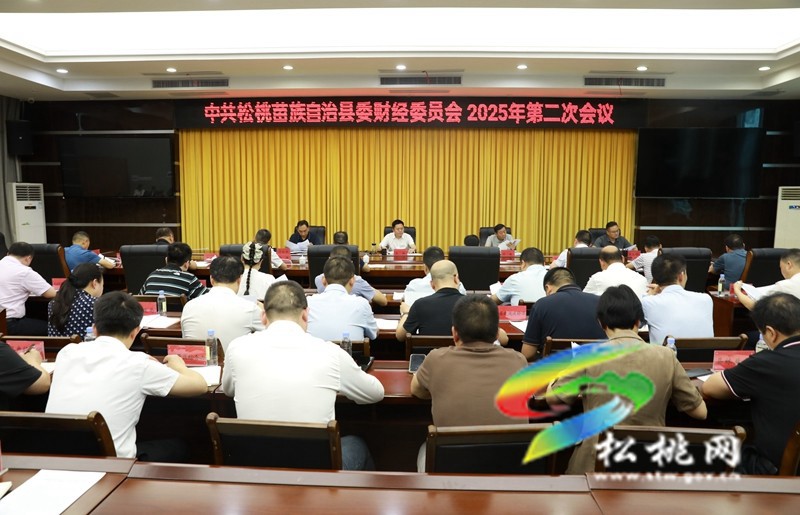 縣委財經(jīng)委員會2025年第二次會議召開