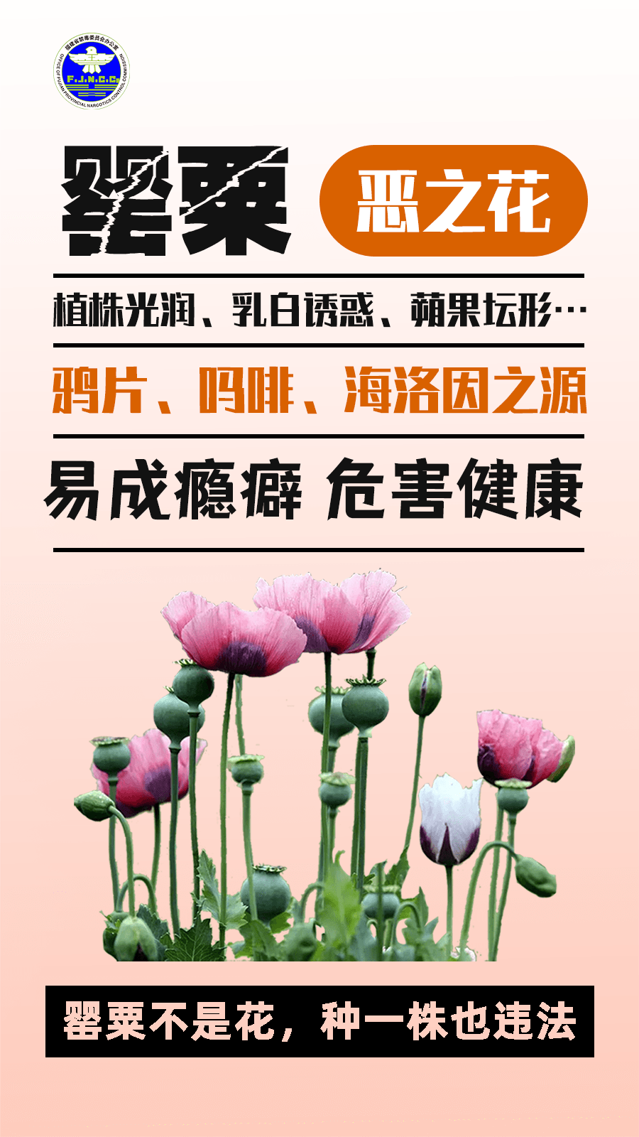 警惕“毒”物！記住這些防毒關鍵詞