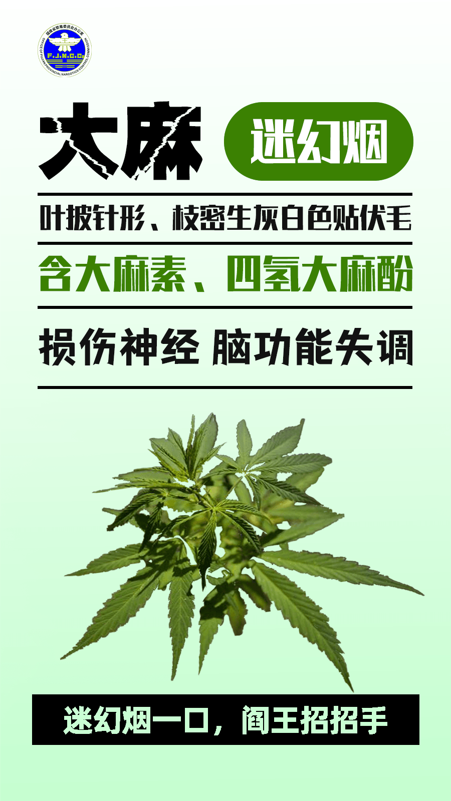 警惕“毒”物！記住這些防毒關鍵詞