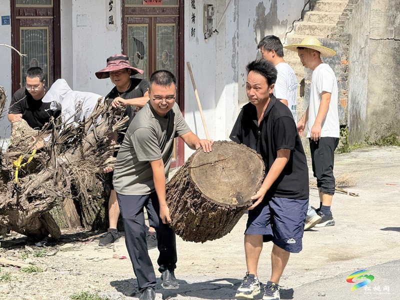 沙壩河鄉(xiāng)深入推進(jìn)“兩清兩改兩治理”工作