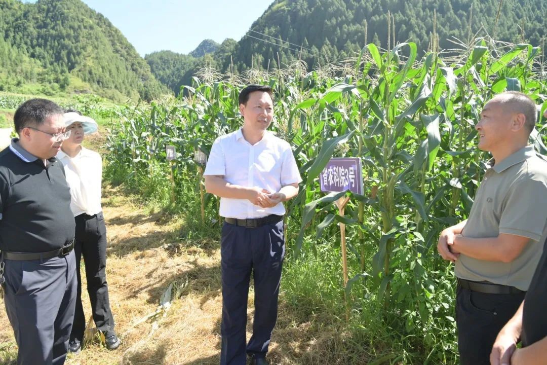 穆嶸坤赴印江松桃開(kāi)展重大課題專項(xiàng)調(diào)研