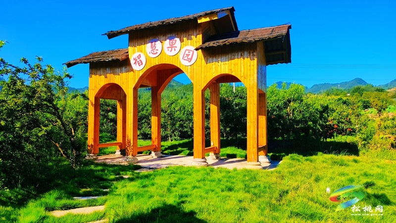妙隘寨石農(nóng)莊：“三端四新”繪就智慧果園新圖景