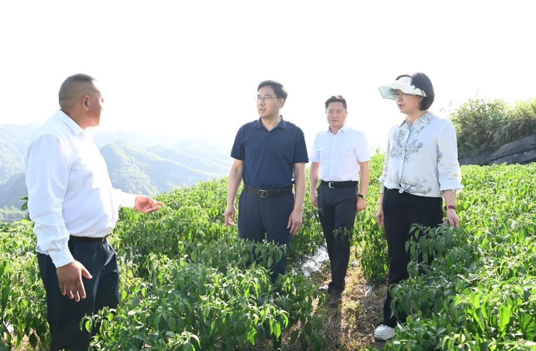 李作勛到松桃自治縣調(diào)研