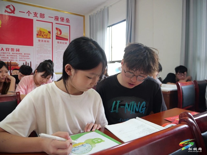正大鎮(zhèn)：多彩活動(dòng)強(qiáng)本領(lǐng)  青春力量促振興