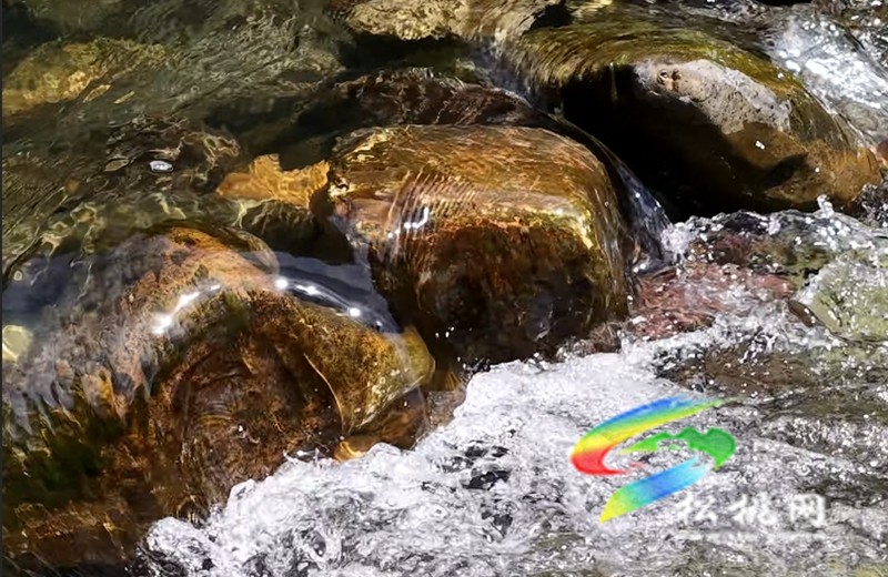 處暑至，秋意漸濃：三渡水的治愈之旅與時(shí)節(jié)絮語(yǔ)