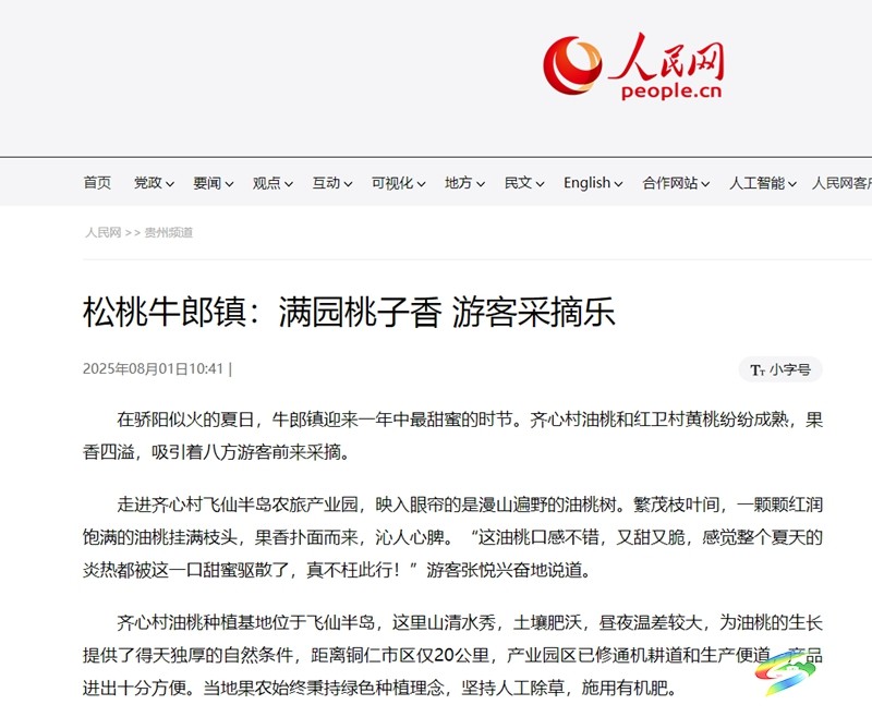 【成績單來了！】松桃2025年8月份對外宣傳成績單